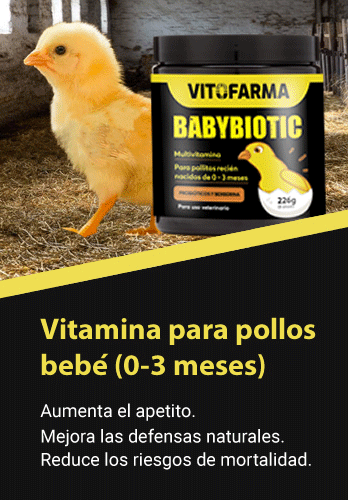 Babybiotic 226g Vitamina en Polvo